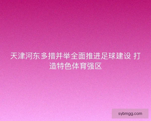 天津河东多措并举全面推进足球建设 打造特色体育强区